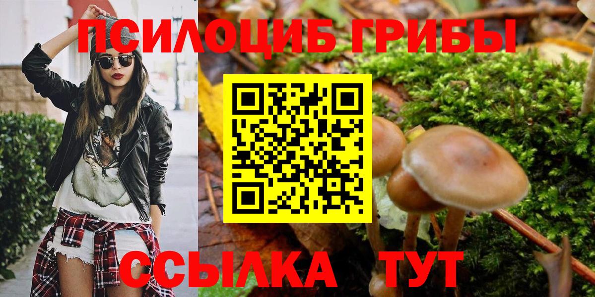 Кубинка  Псилоцибиновые грибы мухоморы  Вход с VPN 